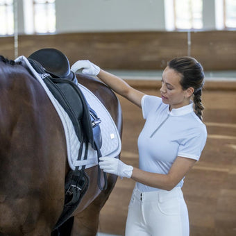 Catago stevnesjaberak 16