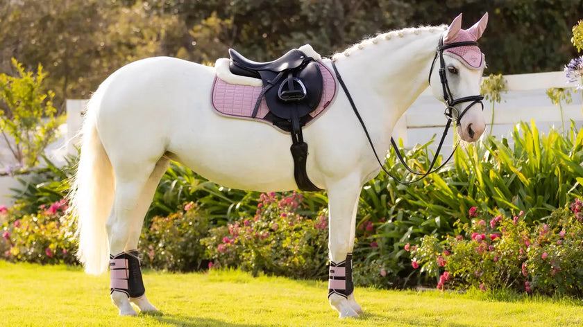 Le Mieux Merino+ Sued CC Square