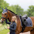 LeMieux dressur sjabrak Satin Jay Blue
