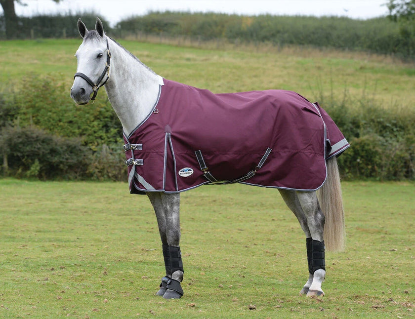 WB ComfiTec Plus Dynamic Standar Neck 100g