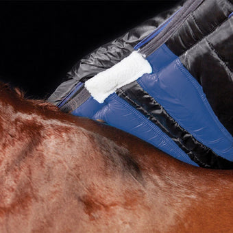 WB ComfiTec Plus Dynamic Standar Neck 100g