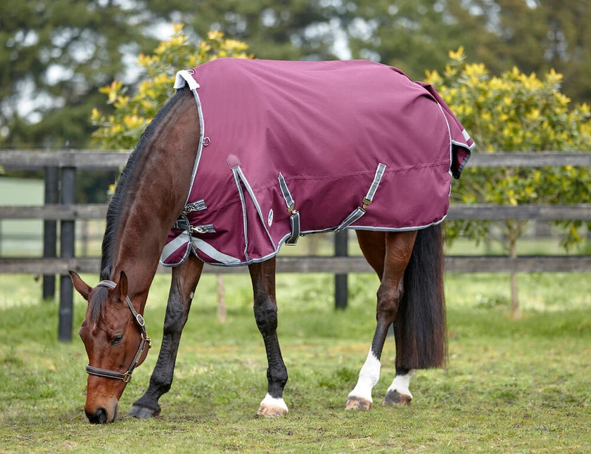 WB ComfiTec Plus Dynamic Standar Neck 100g