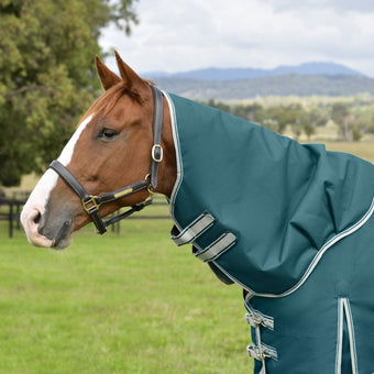 WB Comfitec Plus Dynamic Detach A neck 0g