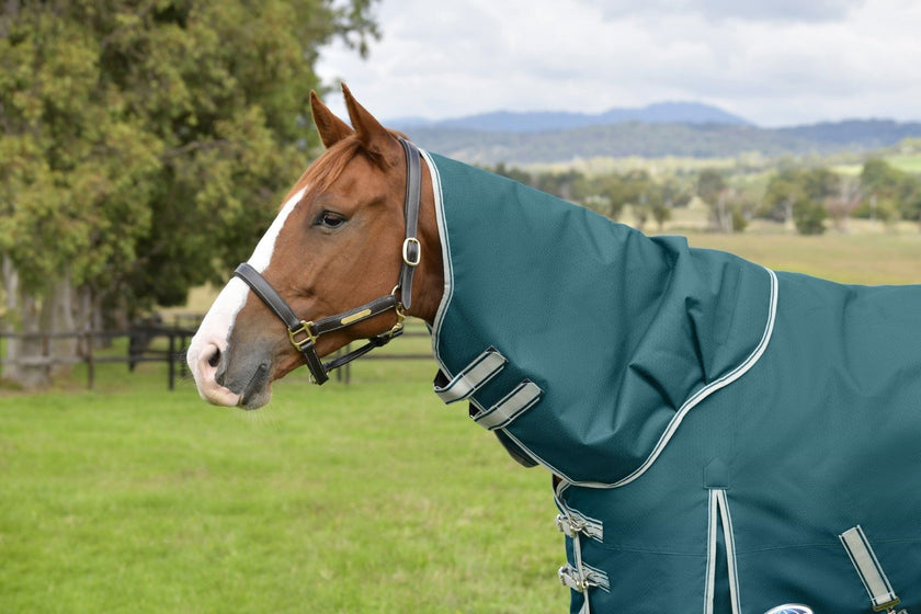 WB Comfitec Plus Dynamic Detach A neck 0g