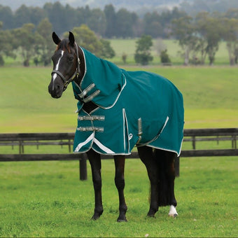 WB Comfitec Plus Dynamic Detach A neck 0g