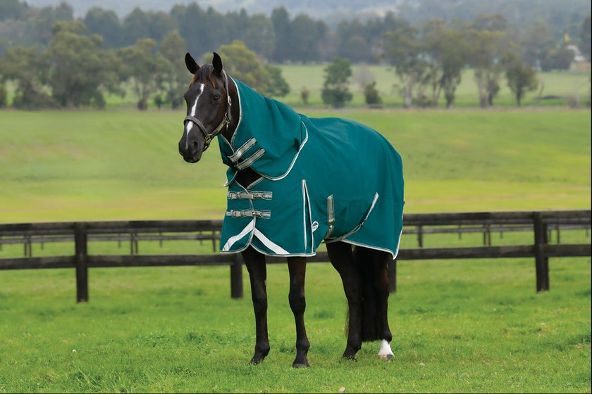 WB Comfitec Plus Dynamic Detach A neck 0g