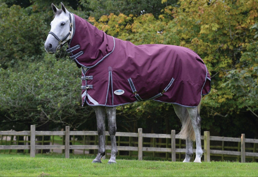 WB ComFiTec Plus Dynamic Detach A Neck 100g