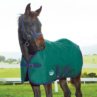 WeatherBeeta Foal turnout 220g
