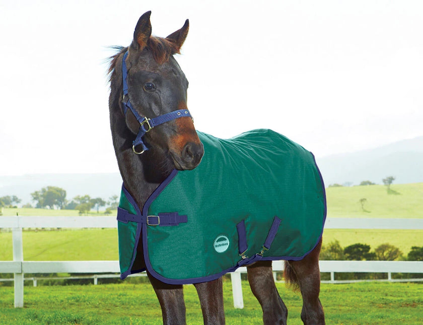WeatherBeeta Foal turnout 220g