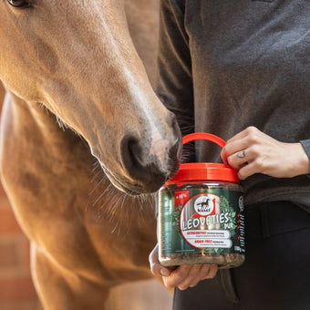 Leoveties gulrot og linser