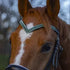 Bling your horse Emerald