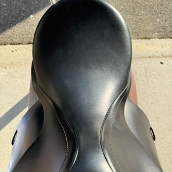 Prestige Top Dressage