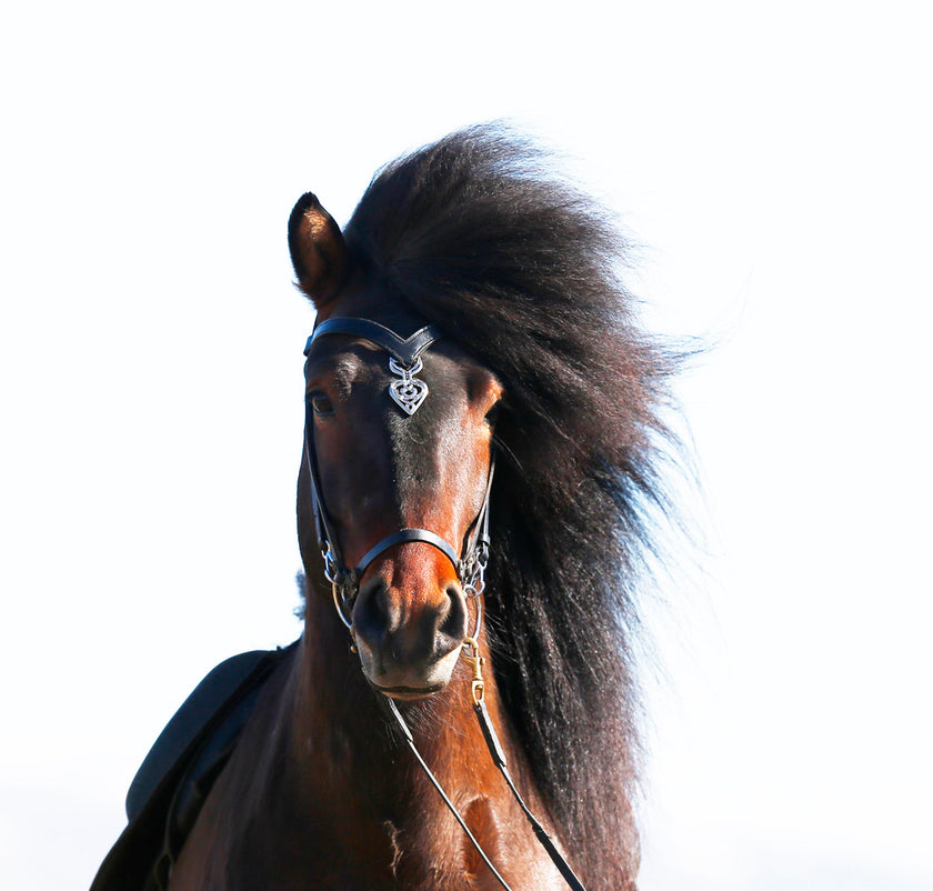 Islensk hodelag SLEIPNIR
