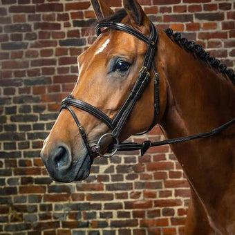Dyon Flash Noseband Bridle