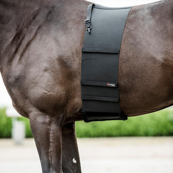 Catago body shield