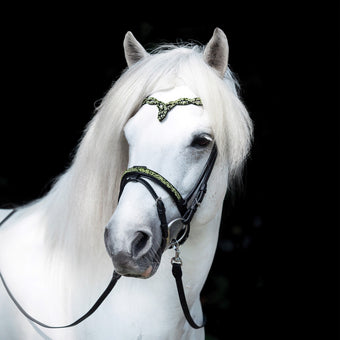 Hrimnir nesereim aurora