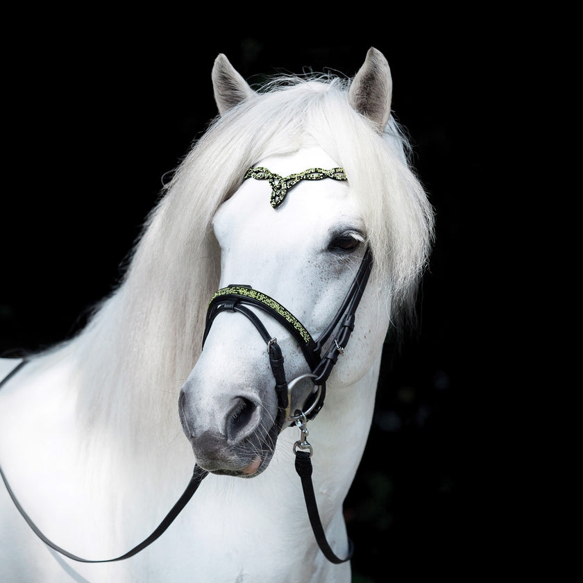 Hrimnir nesereim aurora