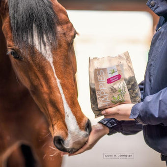 Happies hestegodbit med nype og linfrø