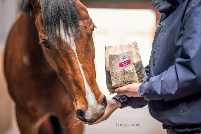 Happies hestegodbit med nype og linfrø