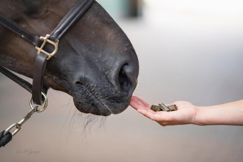 Happies hestegodbit med nype og linfrø