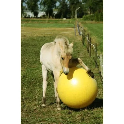 Maximus Leke Ball