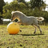 Maximus Leke Ball