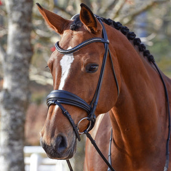 Equalityline Dressur Trinse