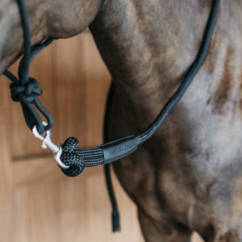 Dyon trening leietau m/avtabar krok