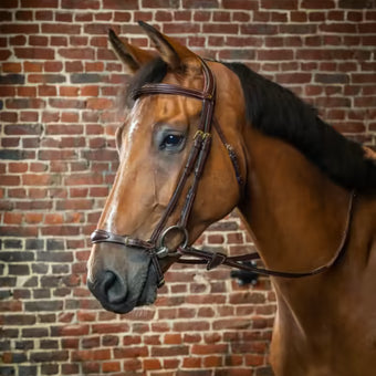 dyon drop noseband hodelag