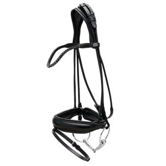 Dyon Dressur Hodelag