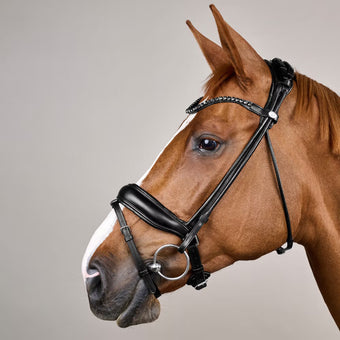 Dyon Dressur Hodelag