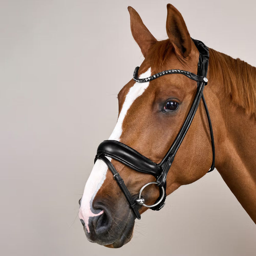 Dyon Dressur Hodelag
