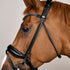 Dyon Dressur Hodelag
