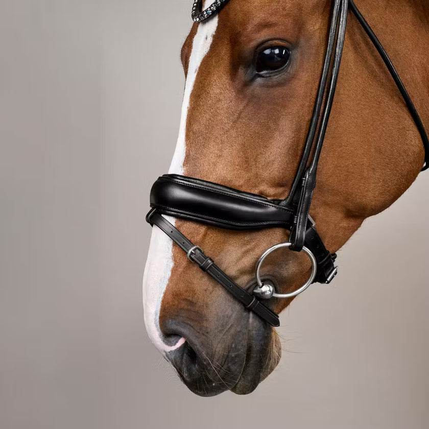 Dyon Dressur Hodelag