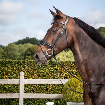 Dyon Crank noseband with flash - lakk