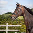 Dyon Crank noseband with flash - lakk