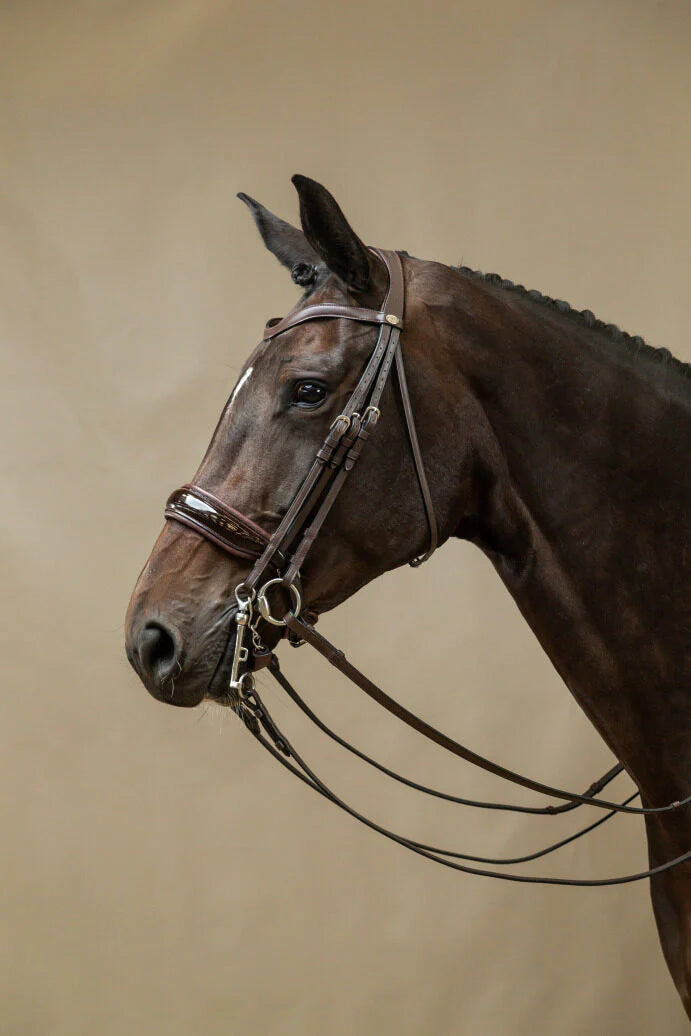 Dyon Crank noseband Kandar - lakk