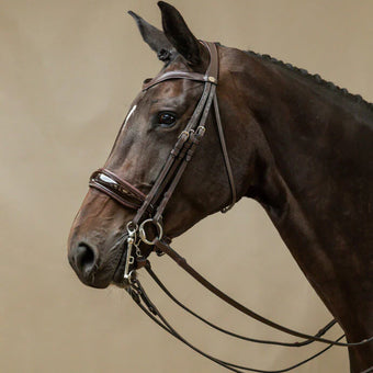 Dyon Crank noseband Kandar - lakk