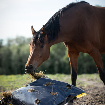 Protector HayFlow Bag R