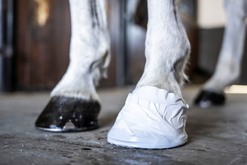 Hoof & Veterinary Tape
