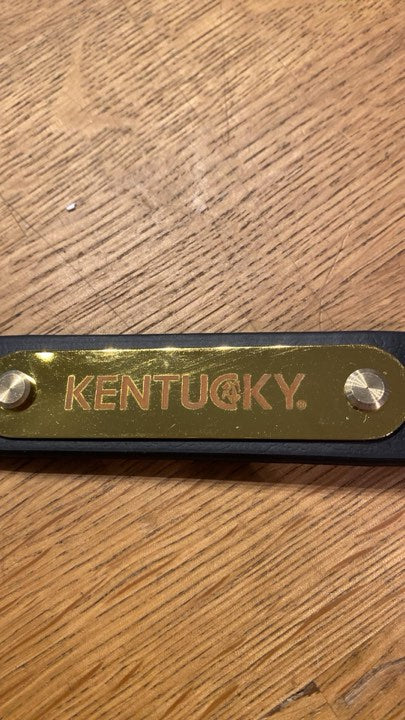 Kentucky hingsteleietau