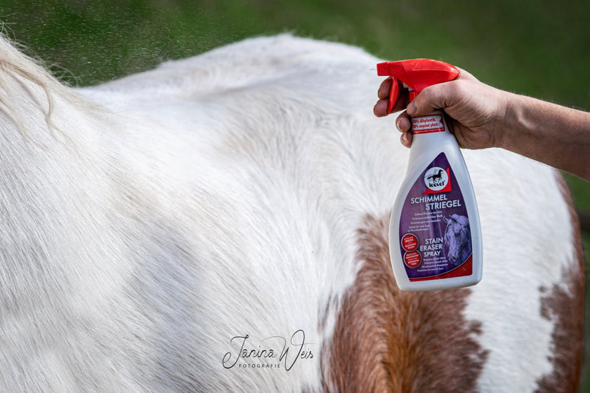 Leovet Stain Eraser Spray