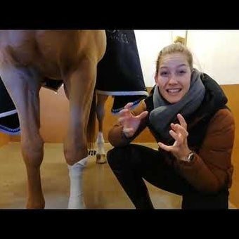 Neo Ice Equine Formula Recharge Solution