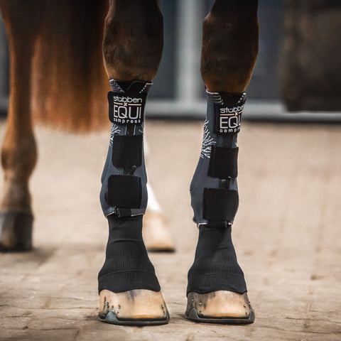 Stubben EQUI Compress Set