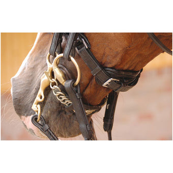 Dyon Dressage Collection Kandar