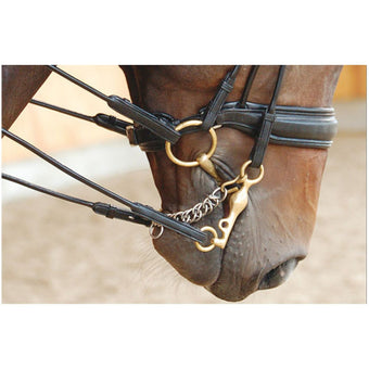 Dyon Dressage Collection Kandar Lack