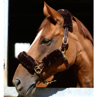 Kentucky Halter Set