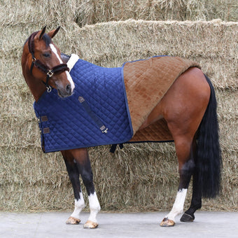 Kentucky Show Rug 160g Navy