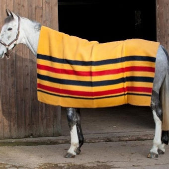 Shires Golden Stripe Ullteppe