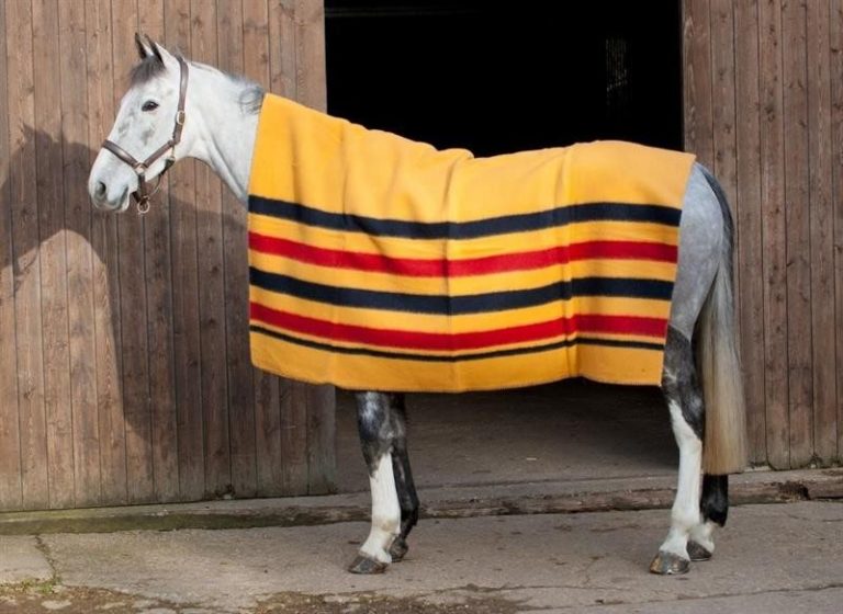 Shires Golden Stripe Ullteppe
